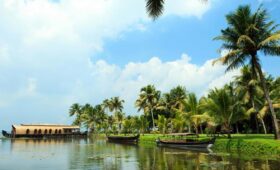 Why Cochin Should Be Your Next Travel Destination