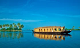 Why Kerala Is Famous for Tourism