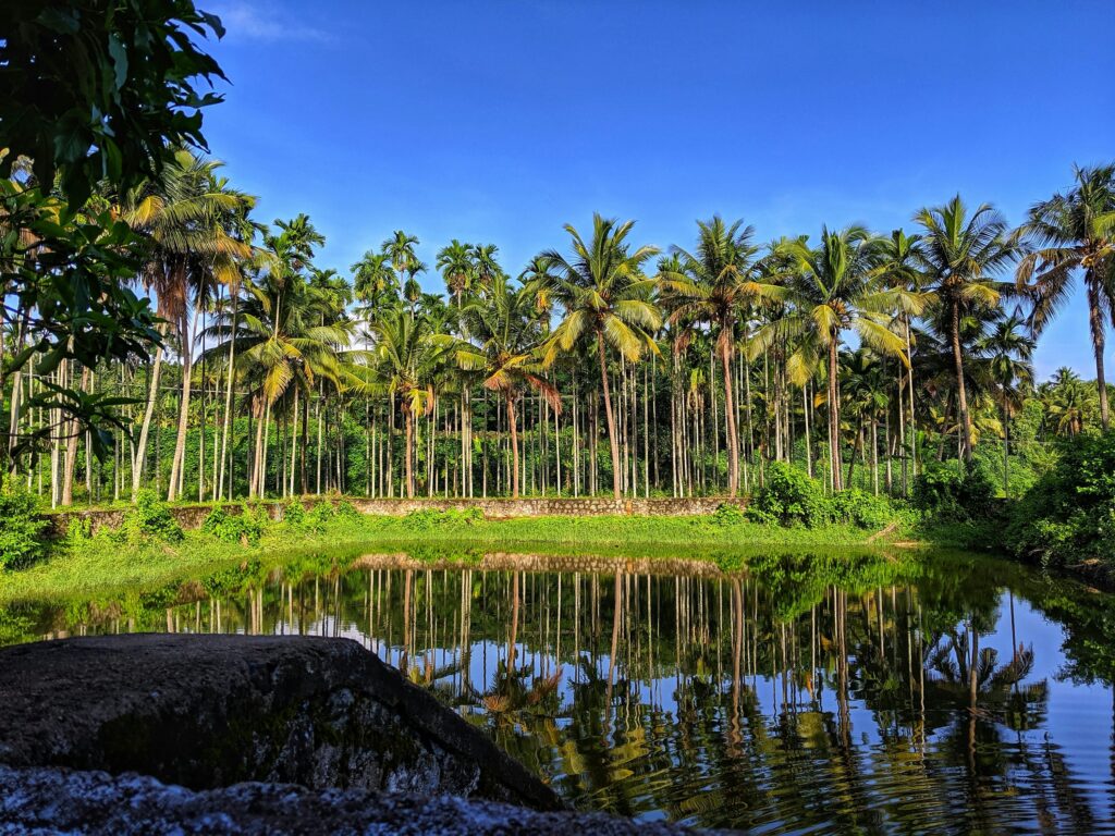 Top Rated Kerala Packages From Mumbai