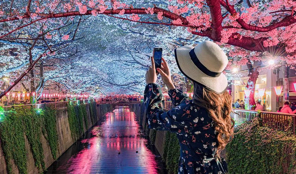 Japan Tour Itinerary from Bangalore