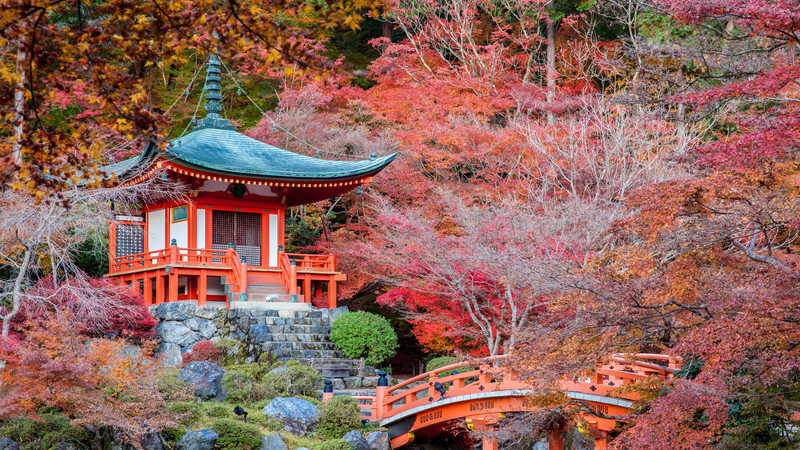 kyoto cultural tour included in japan itinerary