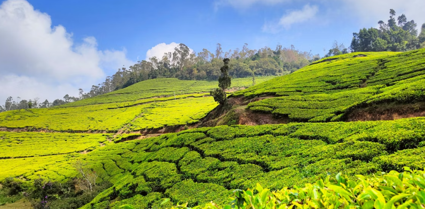 kerala booking mistakes from Mumbai