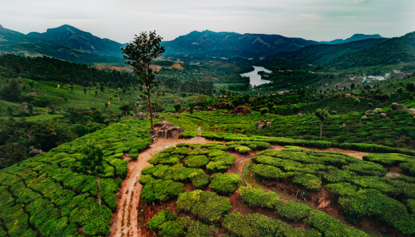 Kerala package price breakdown