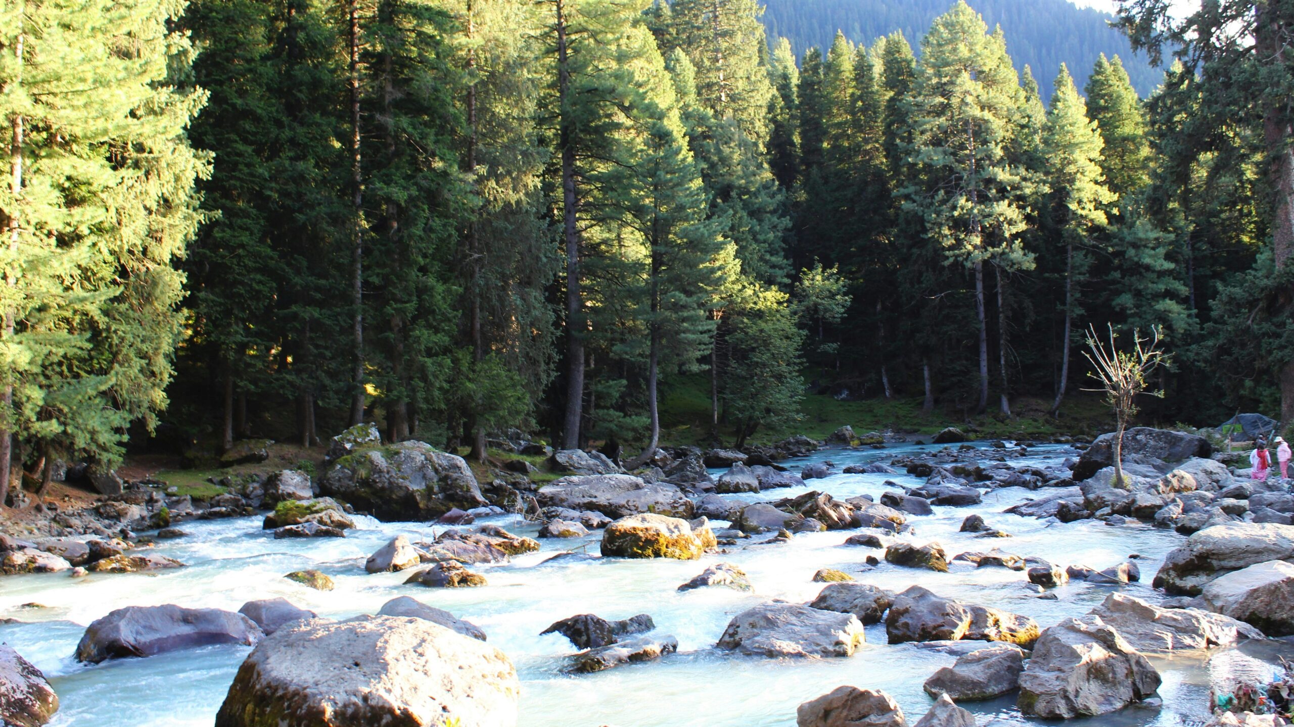 which is better gulmarg or pahalgam